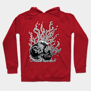 Bare Bones Hoodie